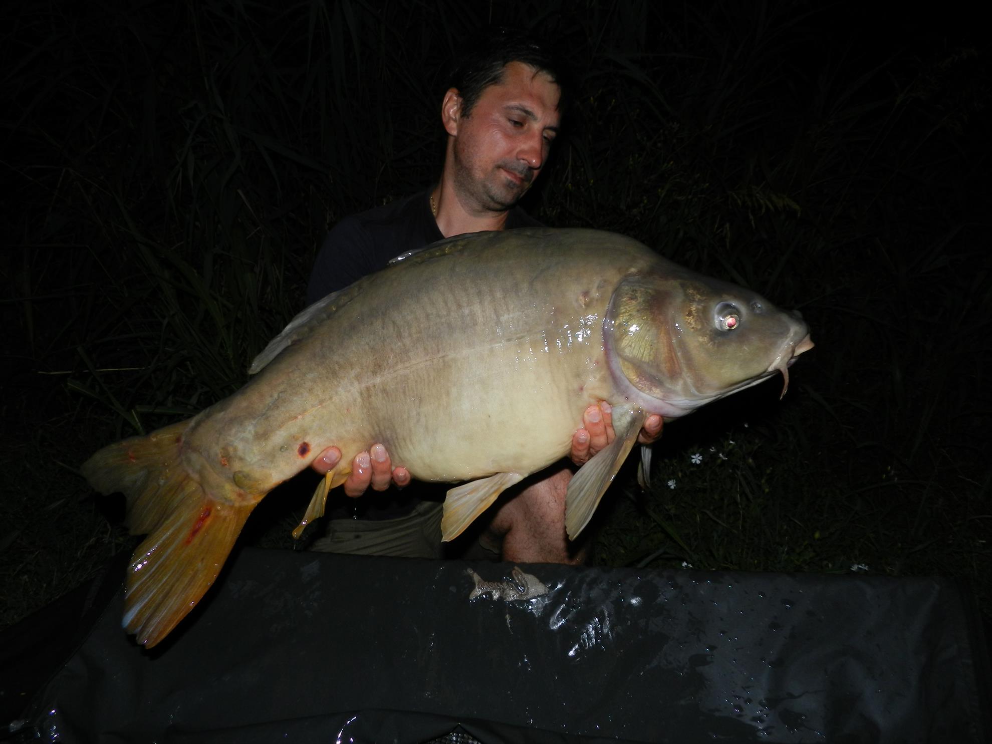 2015/iulie capturi - dscn4040.JPG